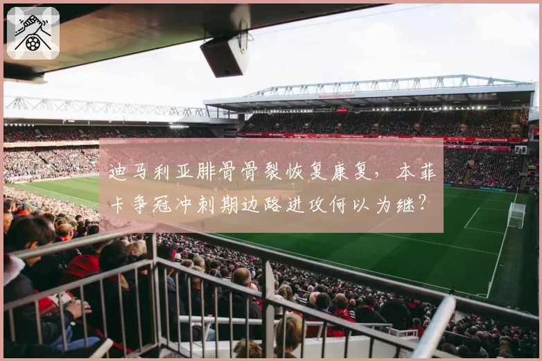 迪马利亚腓骨骨裂恢复康复，本菲卡争冠冲刺期边路进攻何以为继？