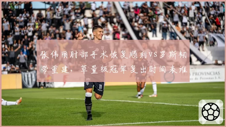 张伟丽肘部手术恢复顺利vs罗斯韧带重建，草量级冠军复出时间表谁更早